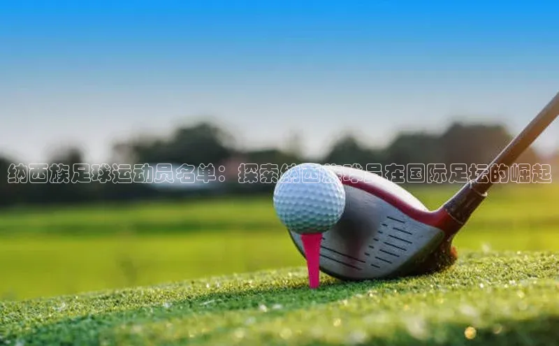 贝博 艾弗森轻美电器纳西族足球运动员名单：探索纳西族球员在国际足坛的崛起