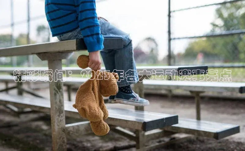 贝博 艾弗森轻美电器精彩瞬间：2023年各大运动赛事亮点