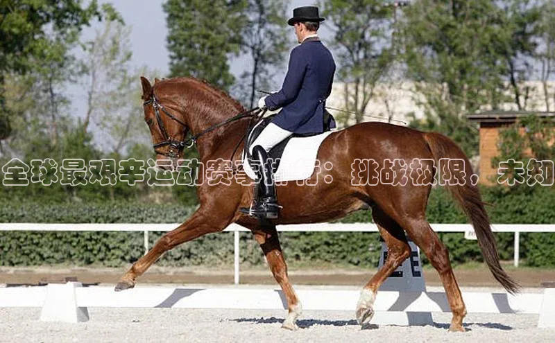 全球最艰辛运动赛事排行：挑战极限，未知