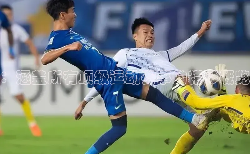 ：涵盖所有顶级运动赛事的精彩概览