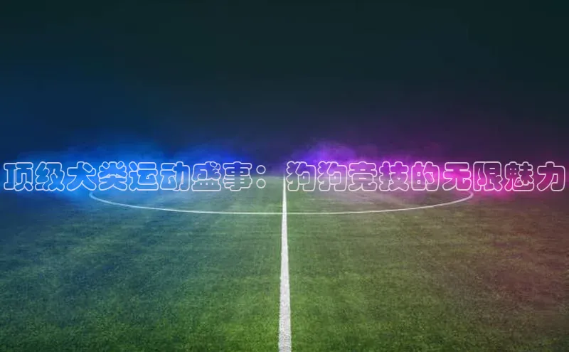 顶级犬类运动盛事：狗狗竞技的无限魅力