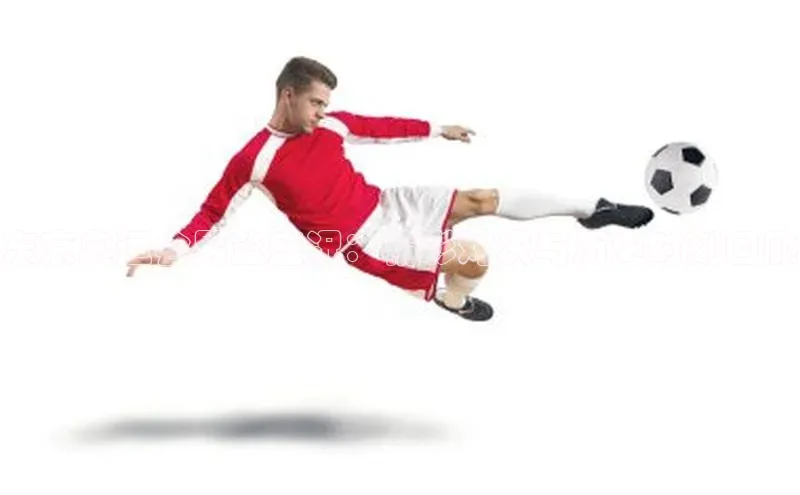 东京奥运会男篮盛况：精彩对决与历史时刻回顾