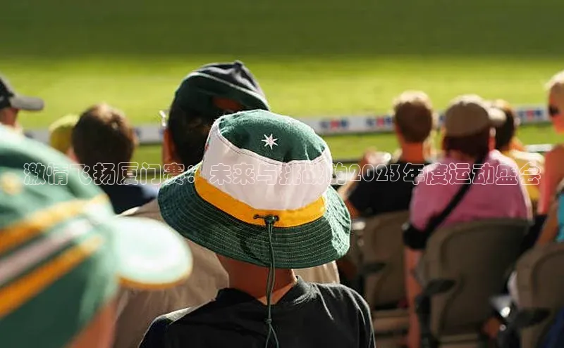 激情飞扬厦门赛：未来与挑战的2023年度运动盛会