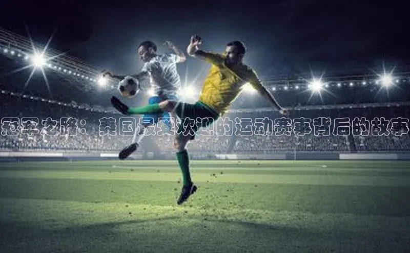 冠军之路：美国最受欢迎的运动赛事背后的故事