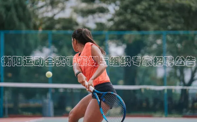 衡阳运动会赛事策划与组织专家招聘公告