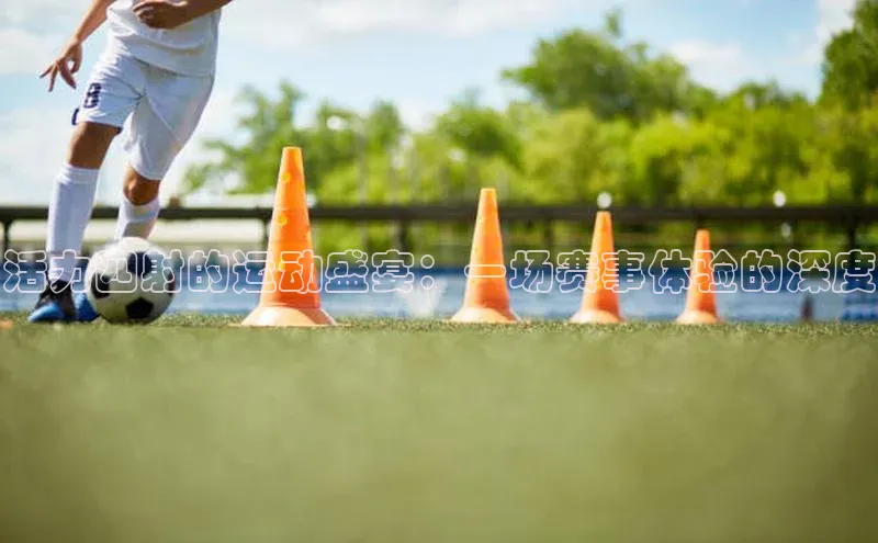 活力四射的运动盛宴：一场赛事体验的深度